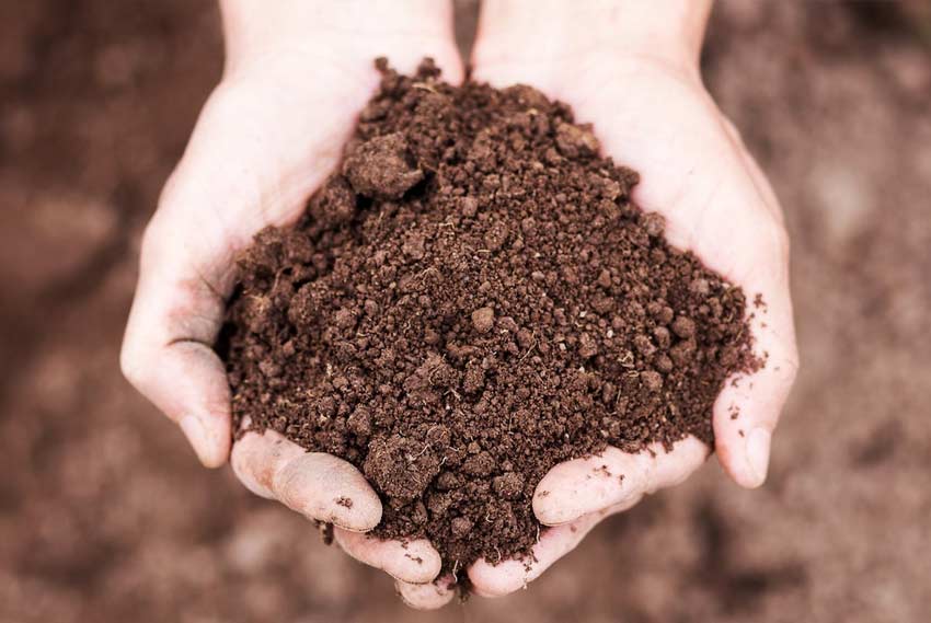 Two hands holding soil
