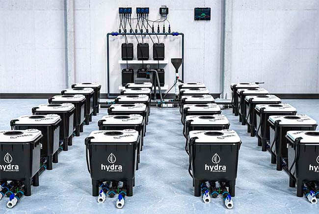 HydraMax buckets connected to Nuravine dosing system