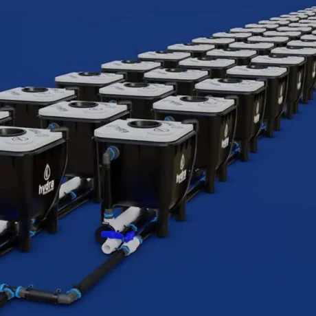 Hydroponic Buckets