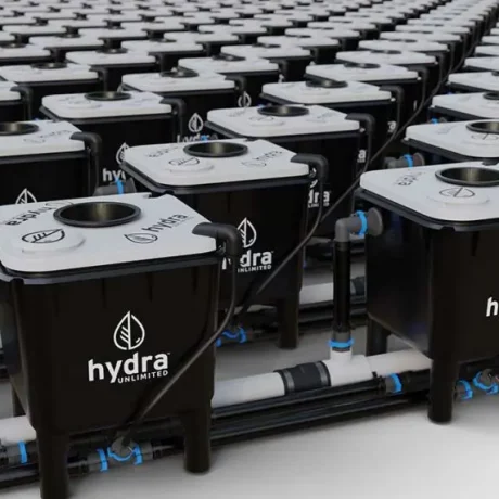 Hydroponic Buckets