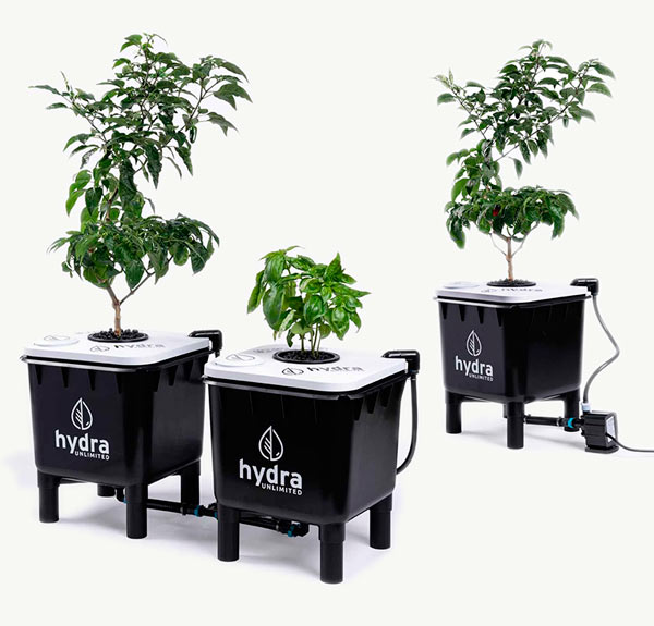 Hydroponik System für Zuhause – HydraMax HOME