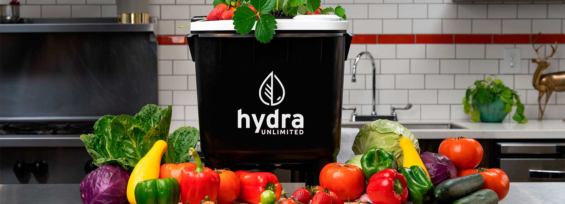 Hydroponic Cannabis Farming