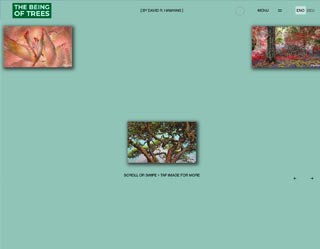 Website Baz und Beienburg